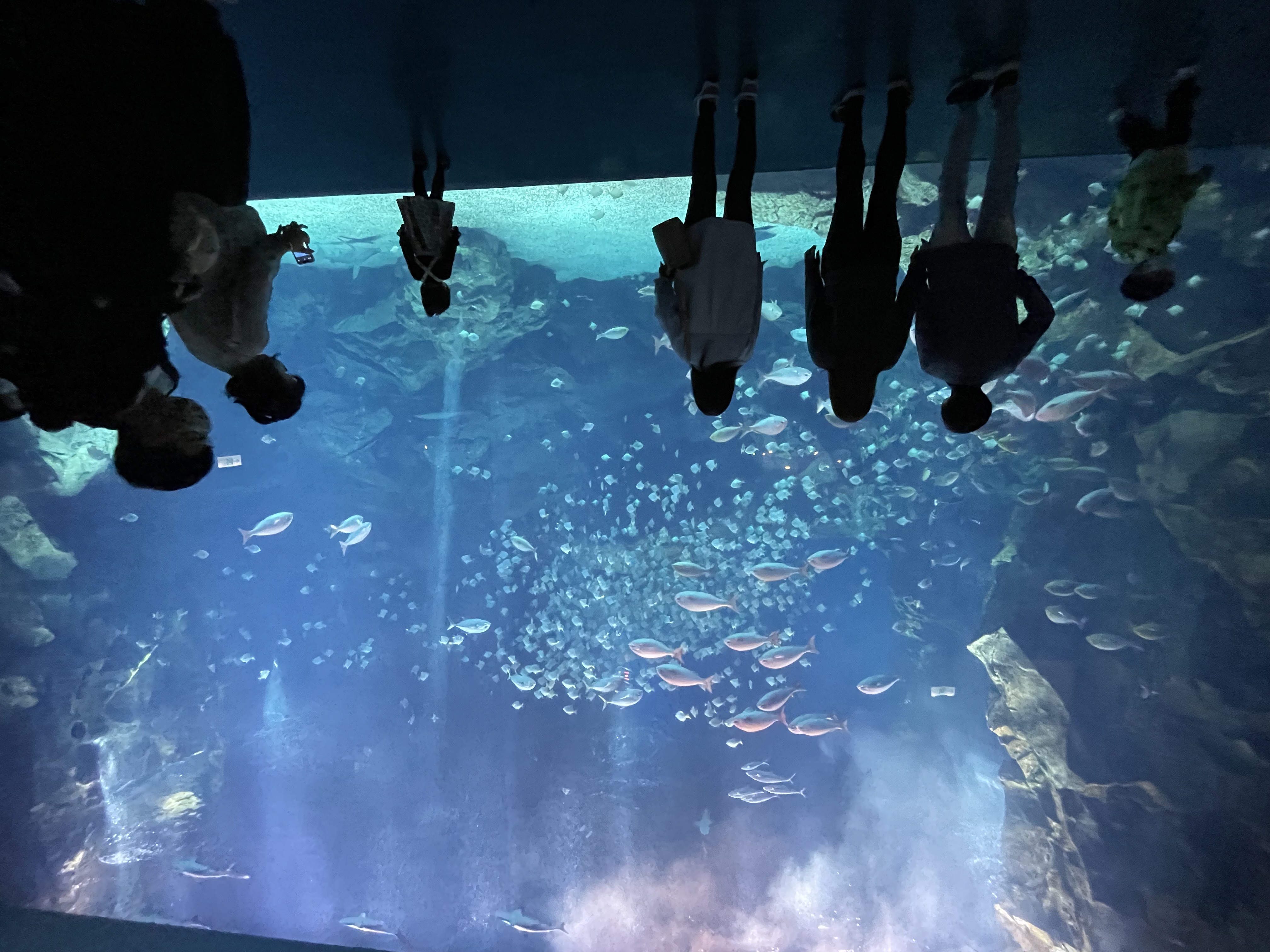 20251108-20.jpg (1.95 MB)