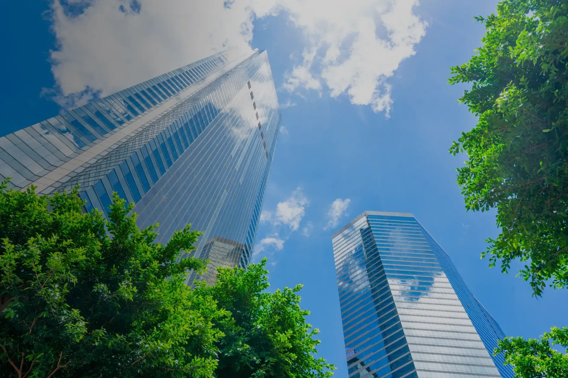 三井工程股份有限公司